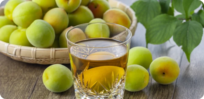 梅酒漬け込みワークショップ