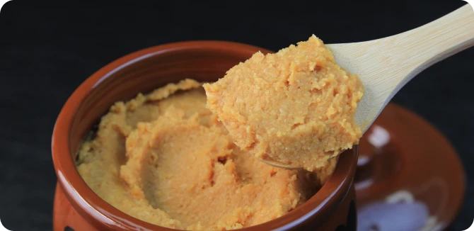 発酵一座による『発酵ワークショップ』